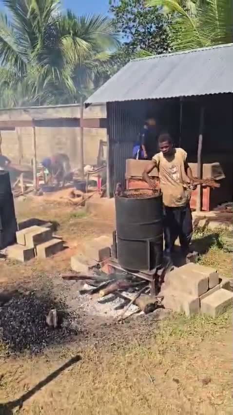 Producteur de vanille à Mananara Nord